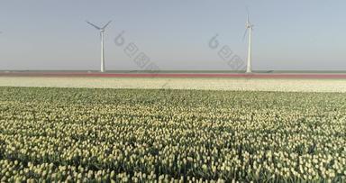 视图风涡轮荷兰无人机视频